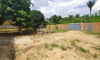 Imagem 5: Sítio à venda no Bairro Tabajaras Teresina PI