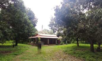 Imagem: Sitio à venda no Povoado Soturno Altos