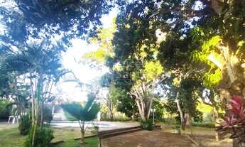 Imagem 7: Sitio à venda na PI 113 Teresina a José de Freitas PI