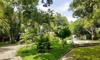 Imagem 6: Sitio à venda na PI 113 Teresina a José de Freitas PI