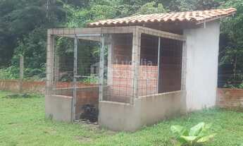 Imagem 6: Sítio à Venda em Timon-MA