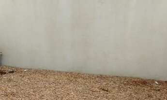 Imagem 3: Jardins do Prado