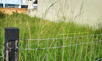 Imagem 2: Terreno no Jardins do Prado
