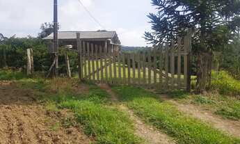 Imagem 2: CHACARA RURAL em CAMPO ALEGRE - SC, Laranjeiras