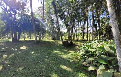 Imagem 3: CHACARA RURAL em JOINVILLE - SC, VILA NOVA