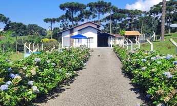 Imagem 3: CHACARA RURAL em CAMPO ALEGRE - SC, São Miguel