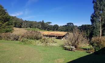 Imagem 6: CHACARA RURAL em CAMPO ALEGRE - SC, Campeche