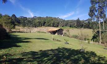 Imagem 7: CHACARA RURAL em CAMPO ALEGRE - SC, Campeche