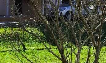 Imagem: CASA RESIDENCIAL em CAMPO ALEGRE - SC, Centro