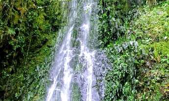 Imagem: CHACARA RURAL em CAMPO ALEGRE - SC, laranjeiras
