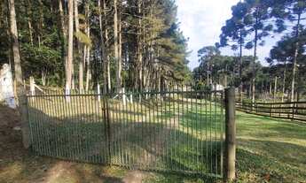 Imagem: TERRENO RURAL em Campo Alegre - SC, Rio