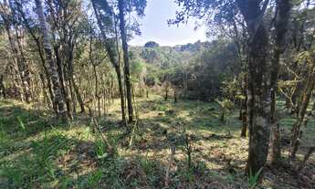 Imagem: TERRENO RURAL em CAMPO ALEGRE - SC, Salto