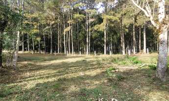 Imagem 6: TERRENO RURAL em Campo Alegre - SC, Rio Vermelho