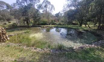 Imagem: CHACARA RURAL em CAMPO ALEGRE - SC, Avenquinha