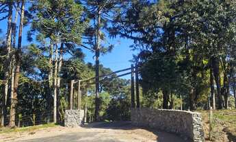 Imagem: TERRENO RURAL em CAMPO ALEGRE - SC, Bateias