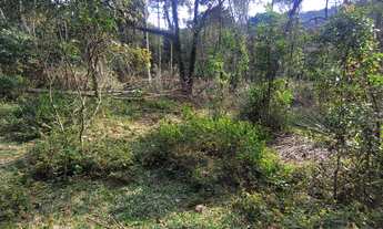 Imagem 5: TERRENO RURAL em Campo Alegre - SC, Rio Vermelho