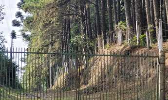 Imagem: TERRENO RURAL em Campo Alegre - SC, Rio