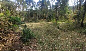 Imagem 7: TERRENO RURAL em Campo Alegre - SC, Rio Vermelho