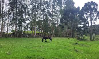 Imagem 2: CHACARA RURAL em CAMPO ALEGRE - SC, São Miguel