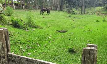 Imagem: CHACARA RURAL em CAMPO ALEGRE - SC, São