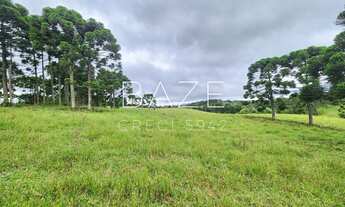 Imagem: TERRENO RURAL em CAMPO ALEGRE - SC, Lavrinha