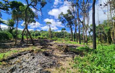 Imagem 3: TERRENO COMERCIAL em CAMPO ALEGRE - SC, Campestre