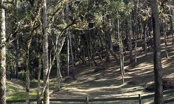 Imagem: TERRENO RURAL em CAMPO ALEGRE - SC, Lageado