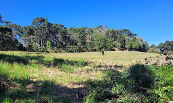 Imagem: TERRENO RURAL em CAMPO ALEGRE - SC, Avenquinha