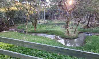 Imagem 6: TERRENO RURAL em CAMPO ALEGRE - SC, Lageado