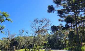 Imagem: TERRENO RURAL em CAMPO ALEGRE - SC, Saltinho