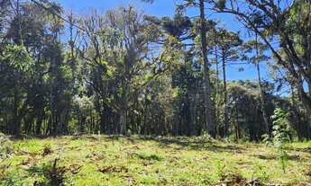 Imagem 4: TERRENO RURAL em CAMPO ALEGRE - SC, Saltinho