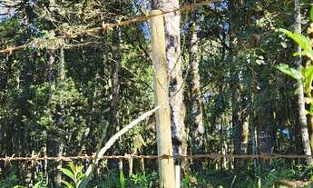 Imagem 7: TERRENO RURAL em CAMPO ALEGRE - SC, Saltinho
