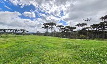 Imagem: TERRENO RESIDENCIAL em CAMPO ALEGRE - SC