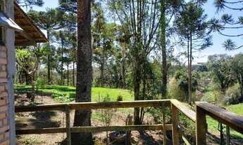 Imagem: CHACARA RURAL em Campo Alegre - SC, Papanduva