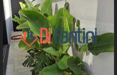 Imagem 6: CASA RESIDENCIAL em NOVA ODESSA - SP, CONDOMÍNIO SOLAR DAS ESMERALDAS