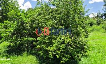 Imagem 4: CHACARA RESIDENCIAL em limeira - SP, Pires de baixo