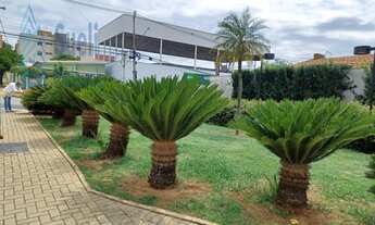 Imagem 4: Apartamento no Condomínio Essence-próximo Unimart Shopping-escolas-PUCC-2 dormitórios send