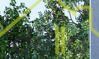 Imagem 5: Apartamento em construção no Saguaçú próximo do colégio Bom Jesus!