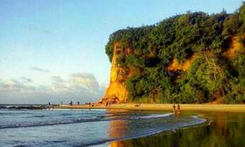 Imagem: AREA COMERCIAL em Tibau - RN, Pipa