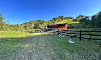 Imagem: Sítio a venda na cidade Natividade da Serra
