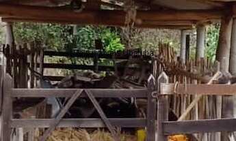 Imagem: Sítio à venda de 13 alqueires entre Ubatuba