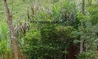 Imagem 7: Sítio à venda de 13 alqueires entre Ubatuba e São Luís do Paraitinga