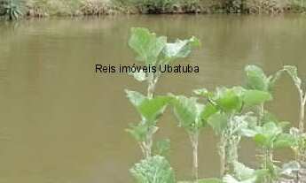 Imagem 3: Sítio à venda de 13 alqueires entre Ubatuba e São Luís do Paraitinga