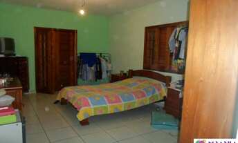 Imagem 4: Chácara - Roseira