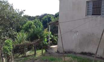 Imagem 5: Chácara - Floresta