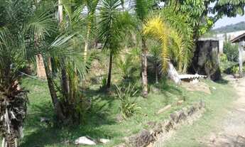 Imagem 3: Chácara - Floresta