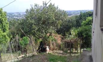 Imagem 6: Chácara - Floresta