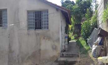 Imagem 7: Chácara - Floresta