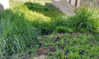 Imagem 4: Terreno - Estância das Flores