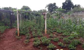 Imagem 5: CHACARA RESIDENCIAL em SANTO ANTÔNIO DE POSSE - SP, COLINA DA PAINEIRA